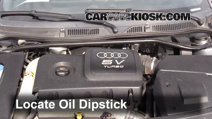 2004 Audi TT Quattro 1.8L 4 Cyl. Turbo Convertible Oil Check Oil Level